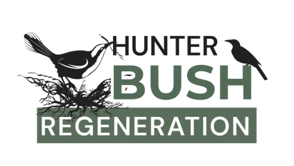 Hunter Bush Regeneration