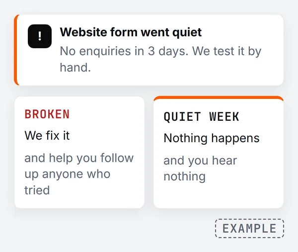 Example alert that the website form went quiet with no enquiries in 3 days, then two outcomes: if it is broken we fix it and help follow up anyone who tried; if it was a quiet week nothing happens